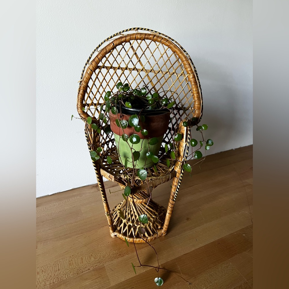 Wicker Plant Stand with Green Potted Plant